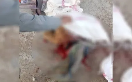  Li Şedadê yekî birayê xwe kuşt