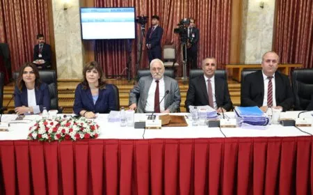 DEM Partî: Guhdarkirina Abdullah Ocalan pêdiviyeke bingehîn e