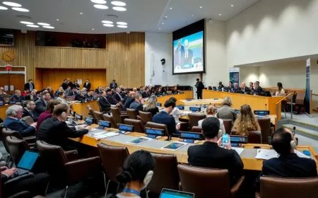 Civîna têkildarî kampan a li NY’yê: Divê dewlet welatiyên xwe vegerînin