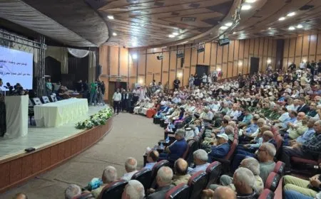 Lêkolîner Welîd Çolî: Sîstema nenavendî ji bo Sûriyeyê çareseriya herî girîng e