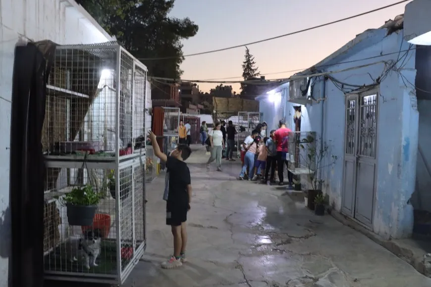 Lawir di şertên nebaş de ne, sazî jî bê agahî ne 