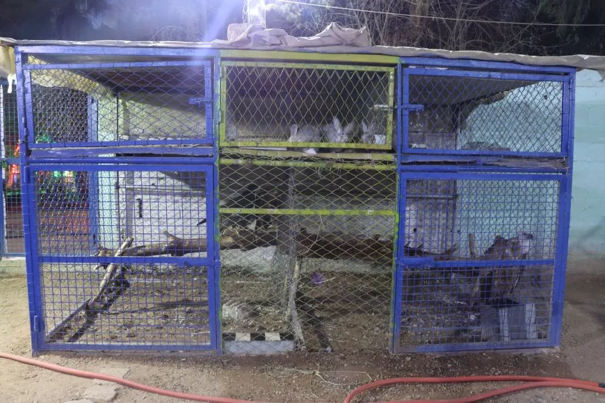Lawir di şertên nebaş de ne, sazî jî bê agahî ne 