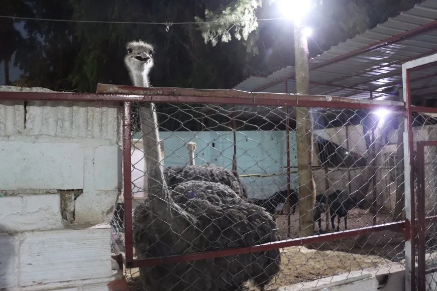 Lawir di şertên nebaş de ne, sazî jî bê agahî ne 