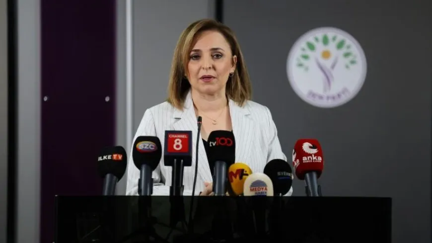Ayşegul Dogan: Divê komîsyon Abdullah Ocalan re hevdîtin bike
