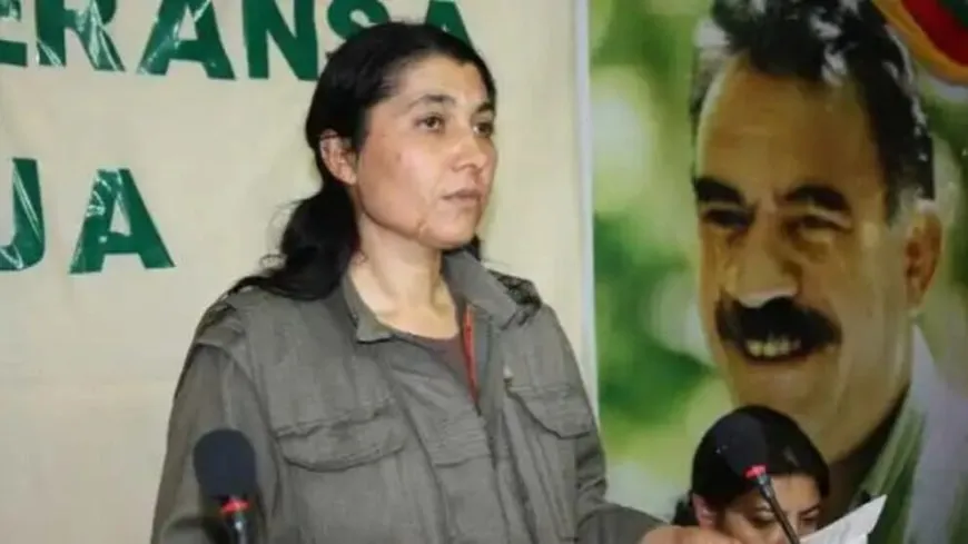 Evîndar Ararat: Dewleta Tirk bi cidî nêzî pêvajoyê nabe