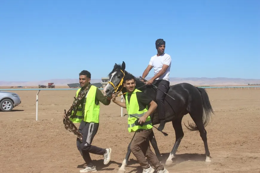 Pêşbirka Hespên Esîl a 2'yemîn li dar ket