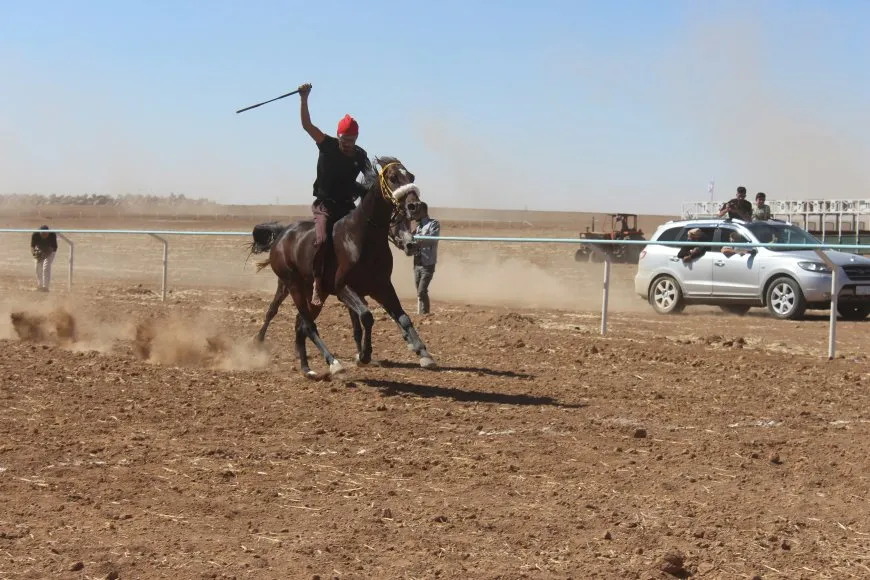 Pêşbirka Hespên Esîl a 2'yemîn li dar ket