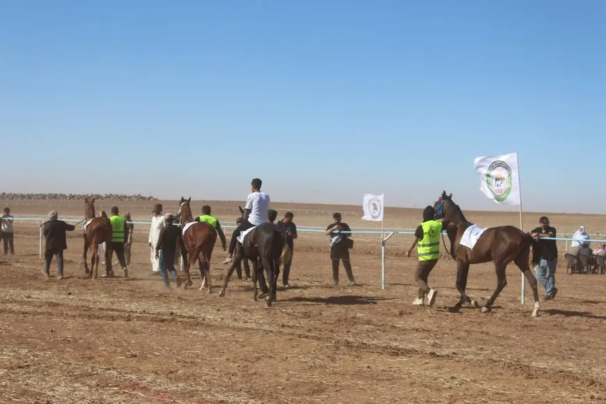 Pêşbirka Hespên Esîl a 2'yemîn li dar ket