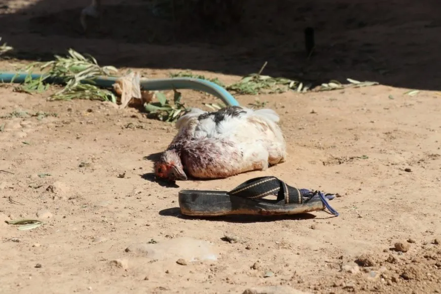 Şêniyên Dêr Hafirê komkujî şermezar kir