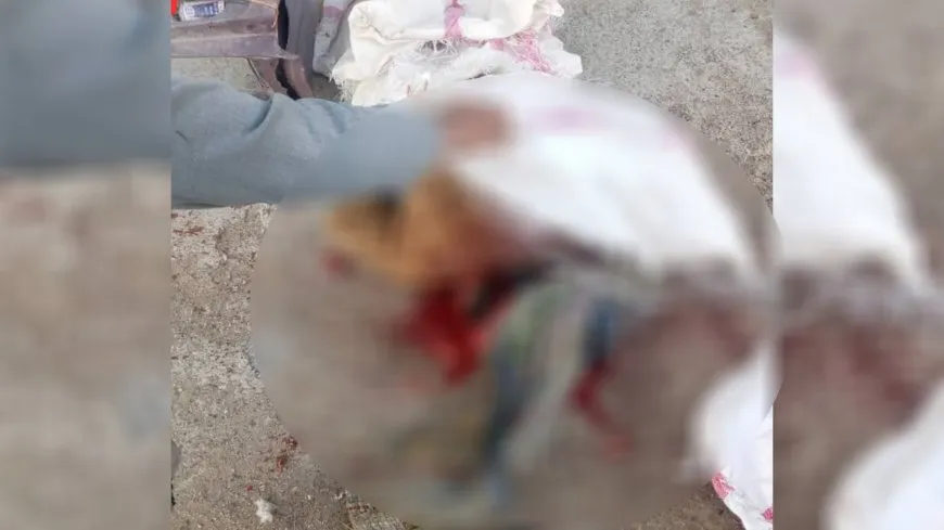  Li Şedadê yekî birayê xwe kuşt
