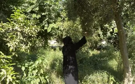 Bi rêbaza ‘çandiya bi hev re’ jin dahata xwe zêdetir dikin