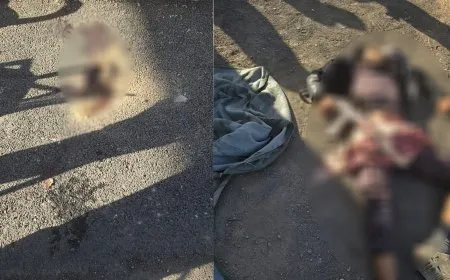 Li rojhilatê Reqayê êrişa çekdarî; 2 sivîl hatin qetilkirin