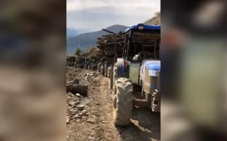 Endamê Rêxistina CPT: Dewleta Tirk daristanên Kurdistanê talan dike
