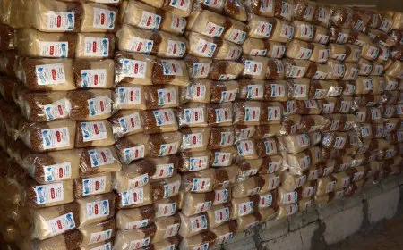 Berhema jinên koçber: Zeeter Efrîn