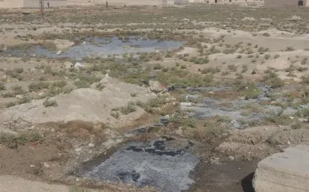 Şardariya gel a Holê giliyê welatiyan bersivand