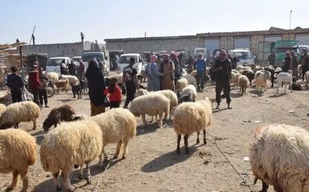 Sewalên Şedadê ji ber hişkesalî û bihabûna êm rûbirûyî gefan in