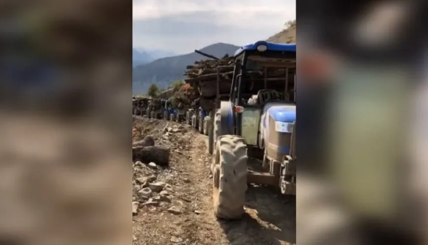Endamê Rêxistina CPT: Dewleta Tirk daristanên Kurdistanê talan dike
