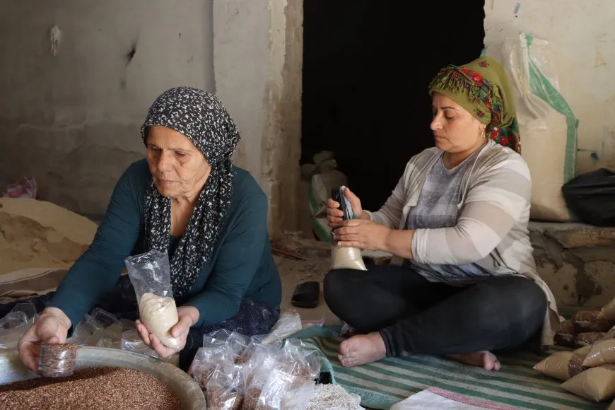 Berhema jinên koçber: Zeeter Efrîn