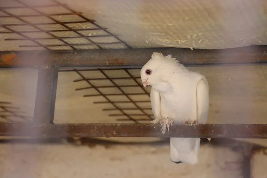 Ji gundên Amûdê çend wêne