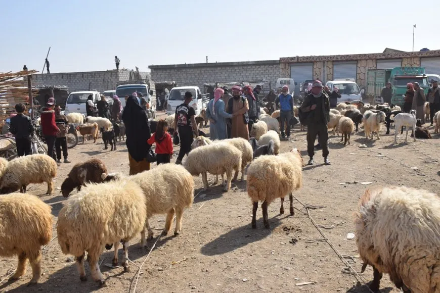 Sewalên Şedadê ji ber hişkesalî û bihabûna êm rûbirûyî gefan in