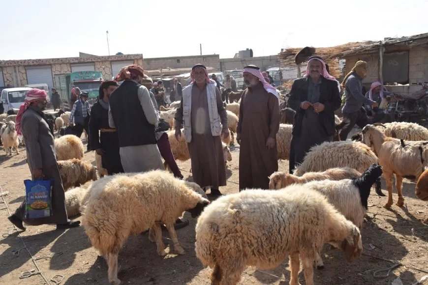 Sewalên Şedadê ji ber hişkesalî û bihabûna êm rûbirûyî gefan in