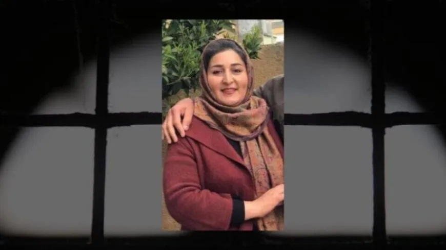 ‘Nayê zanîn Sîrovan Şaûle li ku tê girtin’