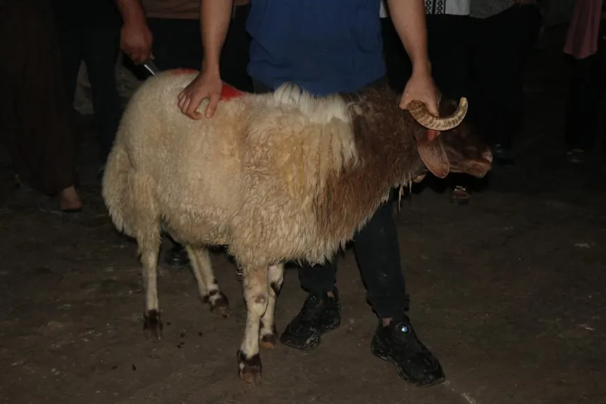 Piştî zêdetirî 30 salî ji girtinê têkoşer Rûav Avrîn gihîşt Şêxmeqsûdê