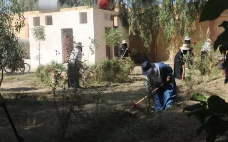 Li Dêrazorê destpêşxerêya paqijkirinê û çandina 6500 dar