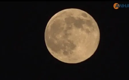 Ajansa me diyardeya "Superheyvê" şopand