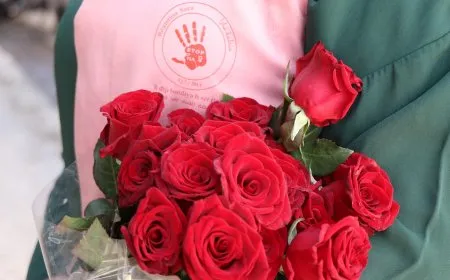 Li Heleb û Şedadê çalakiyên 25ˊê Mijdarê