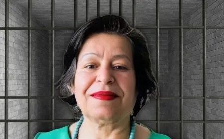 Aferîn Mohajer ji ber sedemek nediyar girtî ye