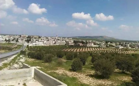 Li Humsê destgîrkirin, tirsandin û standina fidyeyê