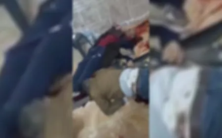 Li gundewarê Humsê komkujî pêk hat 5 kes hatin kuştin