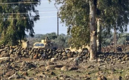 Artêşa Îsraîlê 4 ciwan destgîr kirin