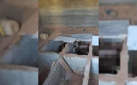 Çekdarên hikûmetê li gundewarê Humsê gorên xistiyanan kolan