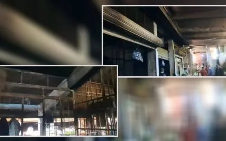 Li Tertûsê dikan şewitîn dibe ku zanebûn hatibin şewitandin