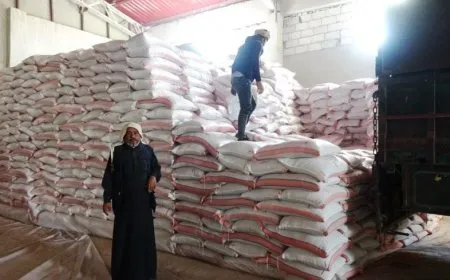 Cotkarên Eyn Îsayê ji ber kêmbûna mîqdara tov gazinan dikin