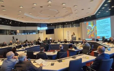 Konferansa ‘Bi hev re şêwedayîna jiyanê’ didome