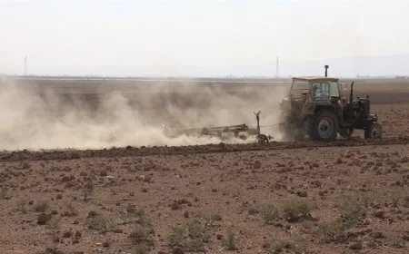 Komîteya Çandinî û Sewalvaniyê plana çandiniyê ya nû da destpêkirin