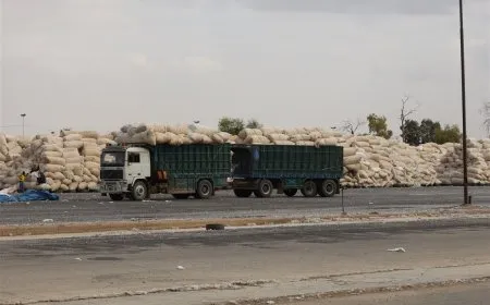 Saziya Giştî ya Pembo 38 hezar ton pembo wergirtiye