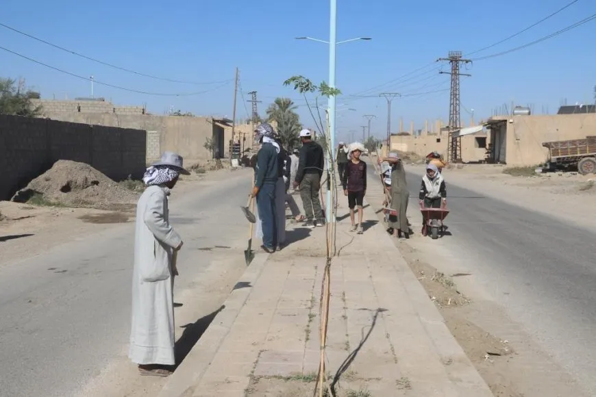 Li Dêrazorê destpêşxerêya paqijkirinê û çandina 6500 dar