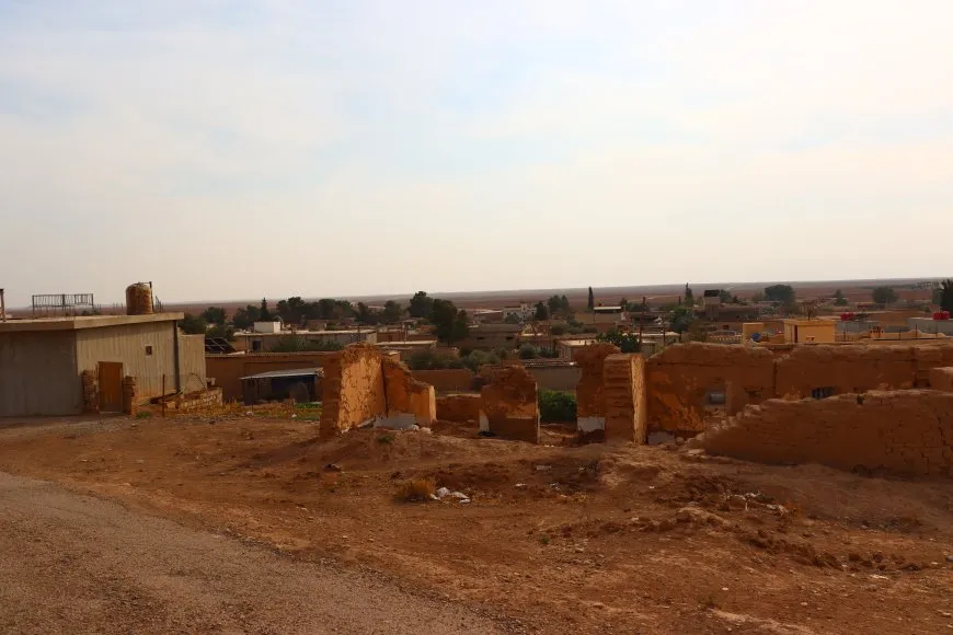 Şêniyan rêûresma zêw li dar xist