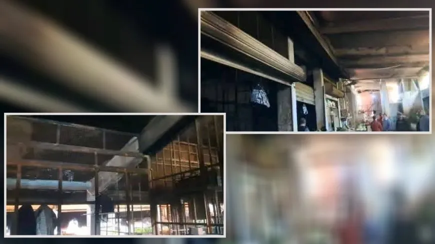 Li Tertûsê dikan şewitîn dibe ku zanebûn hatibin şewitandin