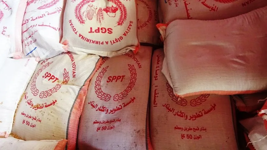 Cotkarên Eyn Îsayê ji ber kêmbûna mîqdara tov gazinan dikin