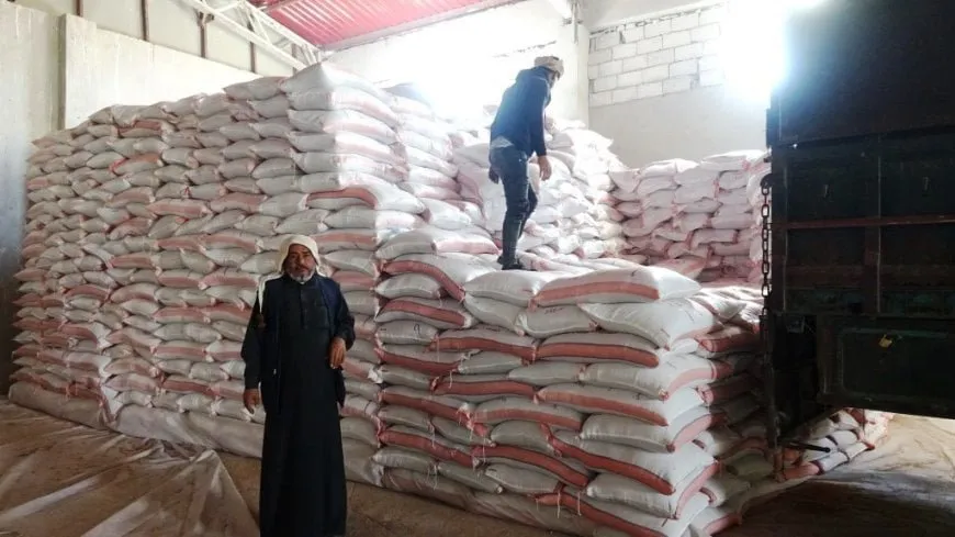 Cotkarên Eyn Îsayê ji ber kêmbûna mîqdara tov gazinan dikin