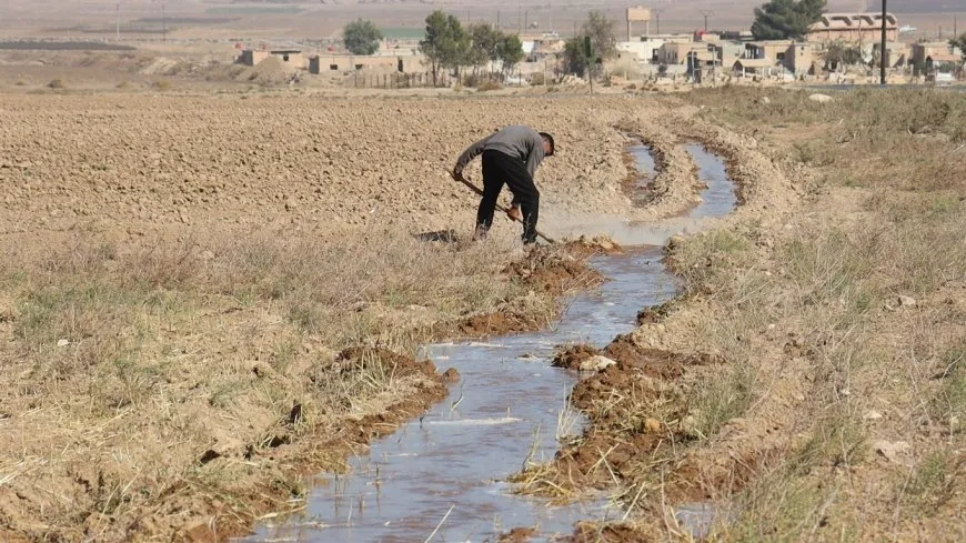 Komîteya Çandinî û Sewalvaniyê plana çandiniyê ya nû da destpêkirin