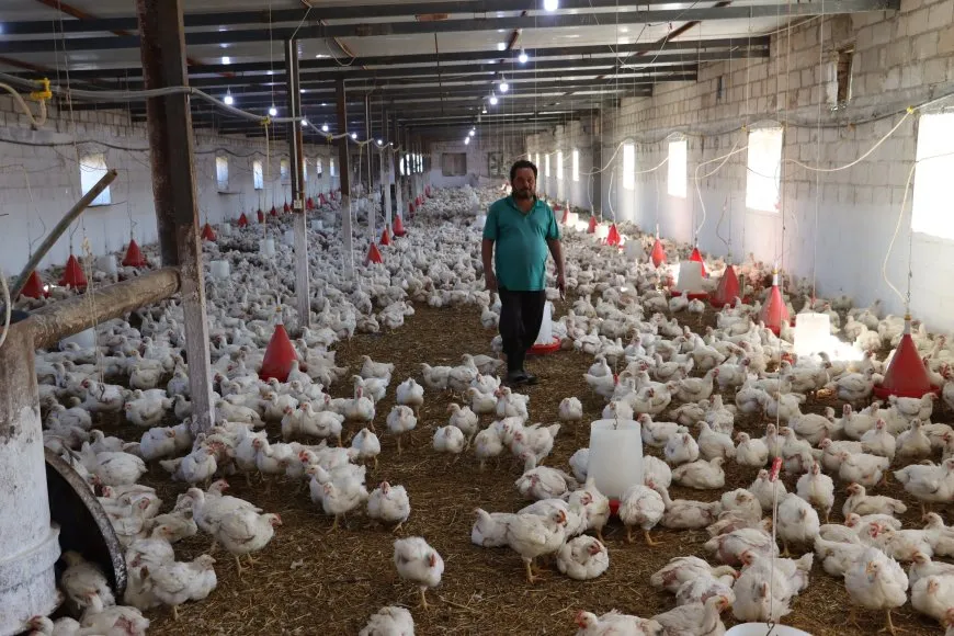 Xwediyên çewlikên mirîşkan banga piştgiriyê dikin