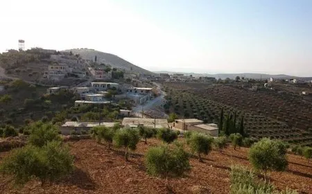 Endamê Kombenda Efrînê ya Civakî: Astengiya vegerê dewleta Tirk e