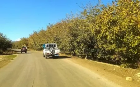  Dewriyeya hêzên NY`ê li başûrê Şamê geriya