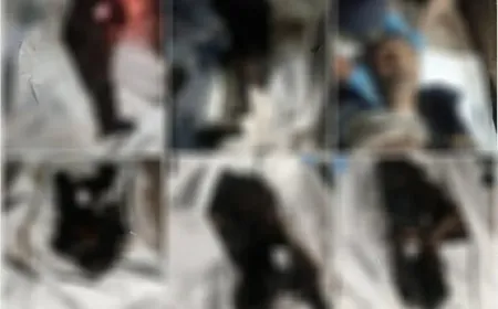 Li Siwêdayê 3 gorên komî hatin dîtin